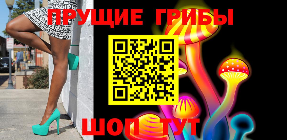 Вольск  Галлюциногенные грибы MAGIC MUSHROOMS  Вход с VPN 