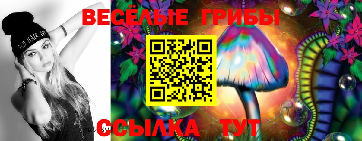 Галлюциногенные грибы GOLDEN TEACHER Вольск